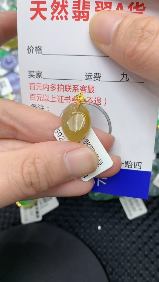 【闪购商品】翡翠颈饰18K金镶嵌11111111111