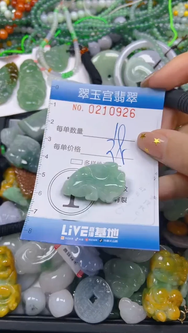 颈饰未镶嵌翡翠闪购C0210926