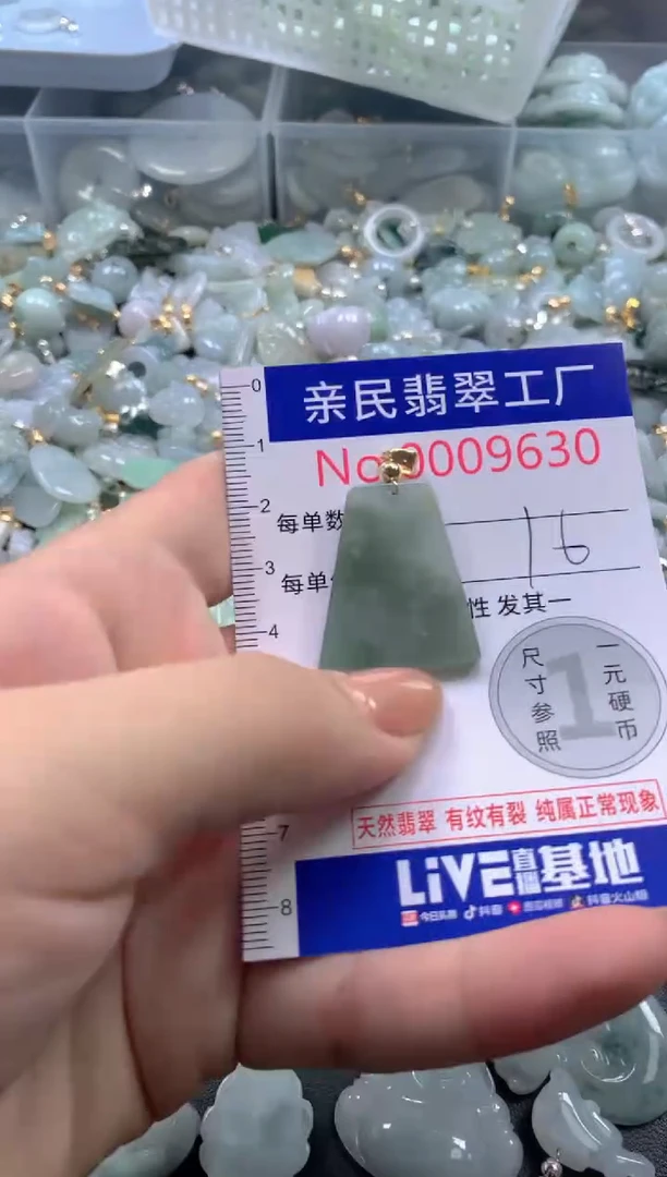 颈饰未镶嵌翡翠9630