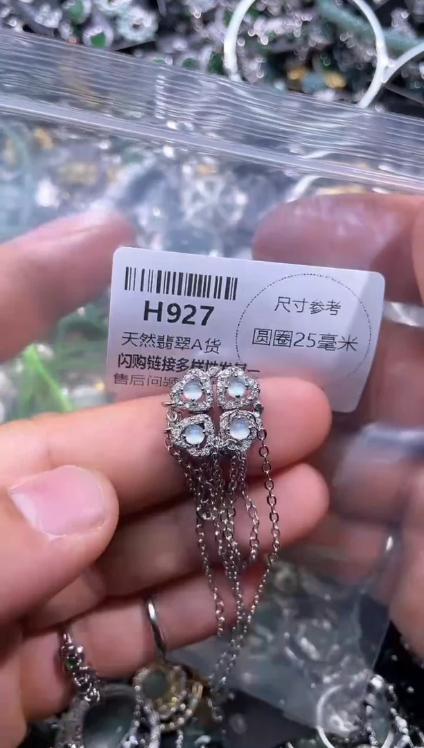 【闪购商品】翡翠颈饰未镶嵌H927项链