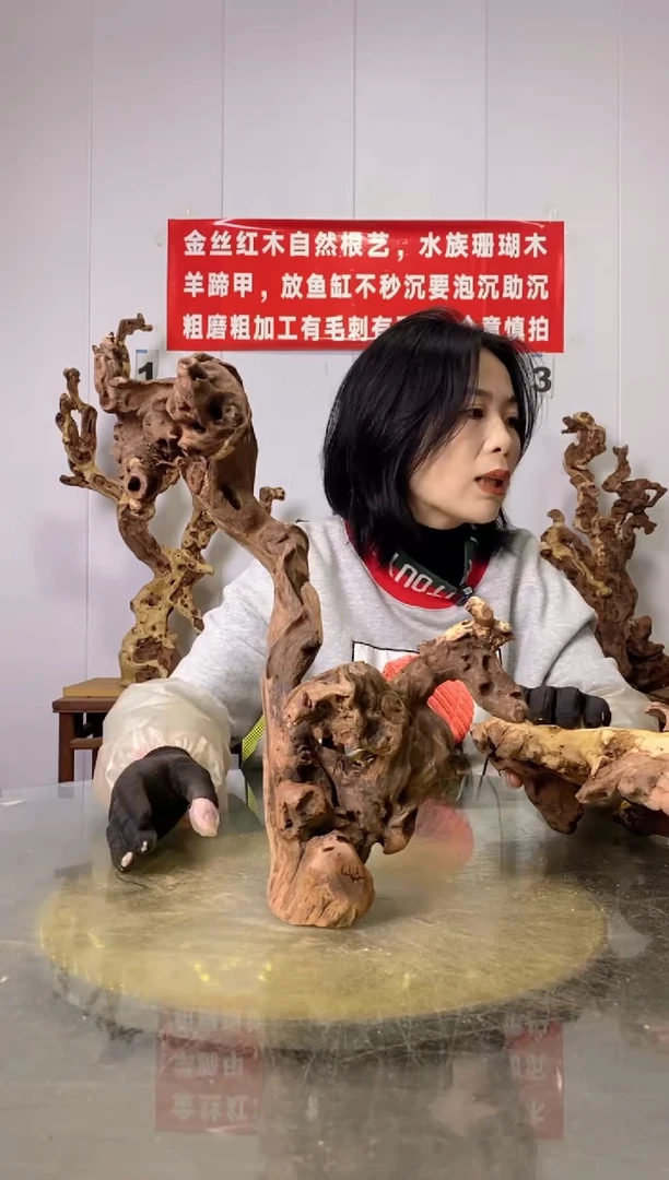 【闪购商品】木29金丝红木 羊蹄甲