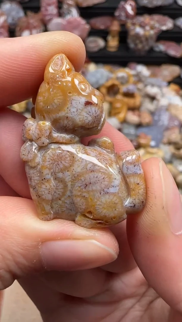 【闪购商品】硅化珊瑚（珊瑚玉）颈饰未镶嵌073