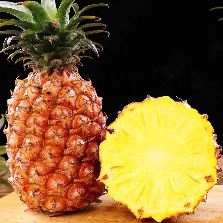 【果王专拍】海南直金钻凤梨树熟新鲜水果