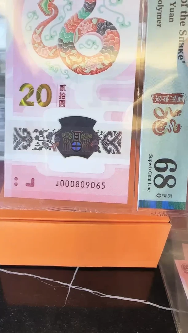 塑料2025 蛇钞 单张 啊啊啊啊