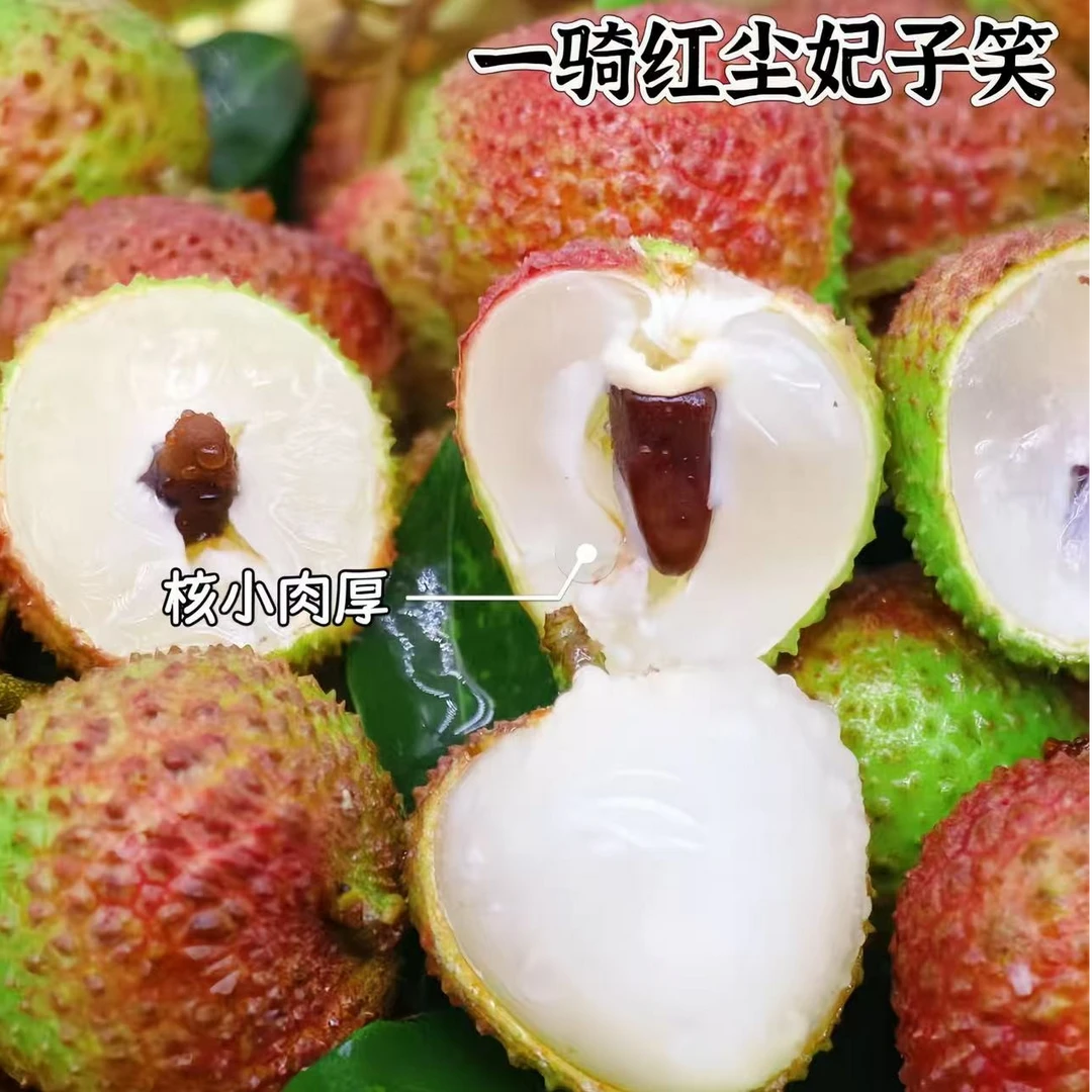 荔枝水果现摘精品果妃子笑荔枝肉厚老树大果爆甜