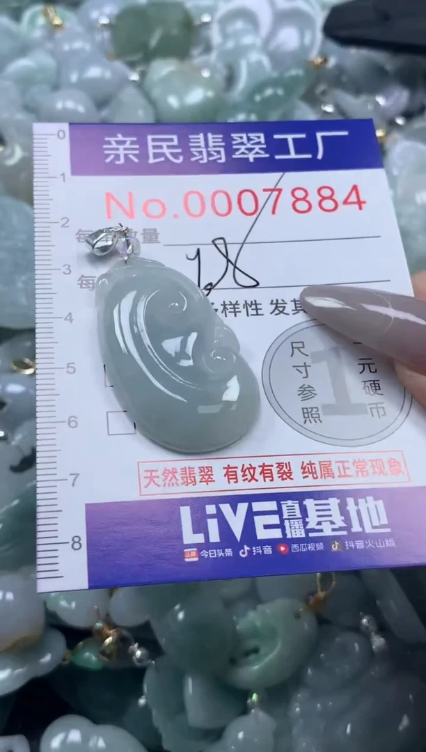 颈饰未镶嵌翡翠7884