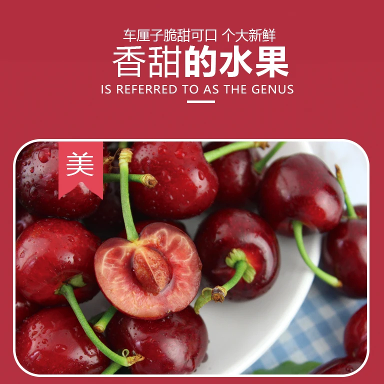【桑提娜】1J黑车厘子新鲜2250g