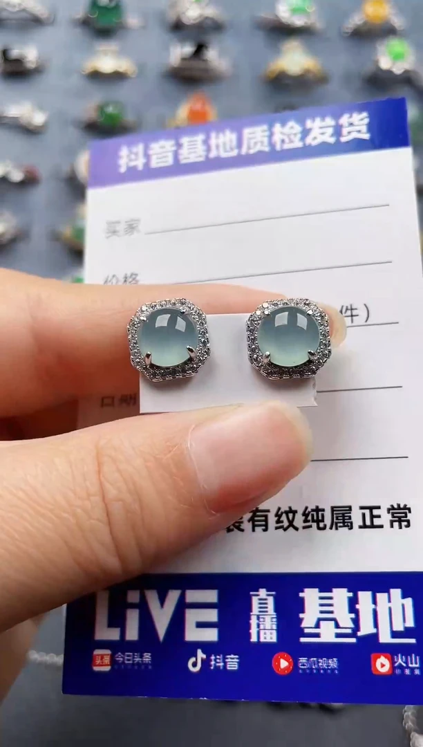 银S925镶嵌翡翠耳饰157