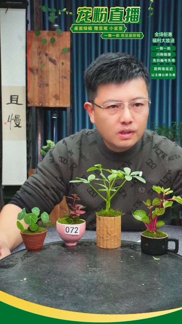无花朵低**雾苔藓微景观072号