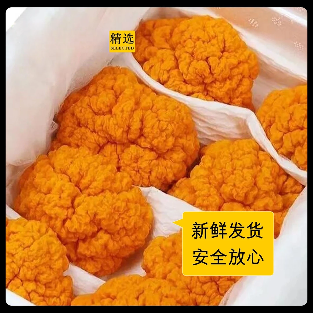 云南新鲜金耳菌【顺丰包邮】黄金耳大朵250g-3斤现采现发刺身级别