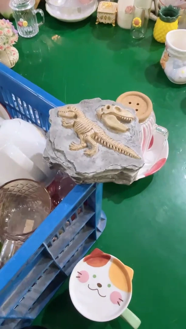 其他恐龙乳牙盒，开播福利，拼手速