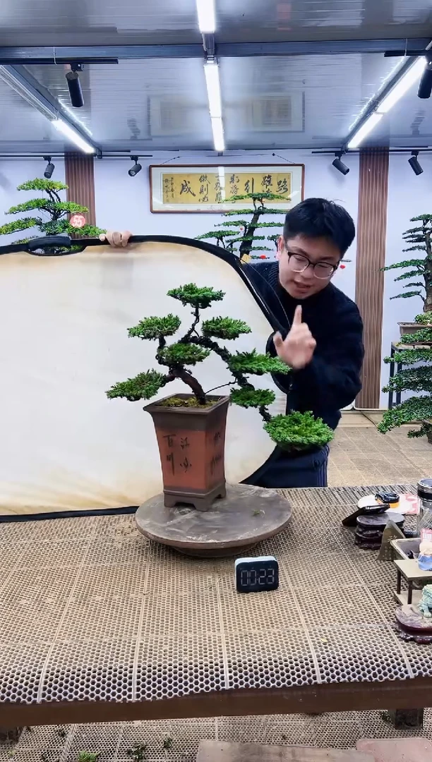 【闪购商品】00000