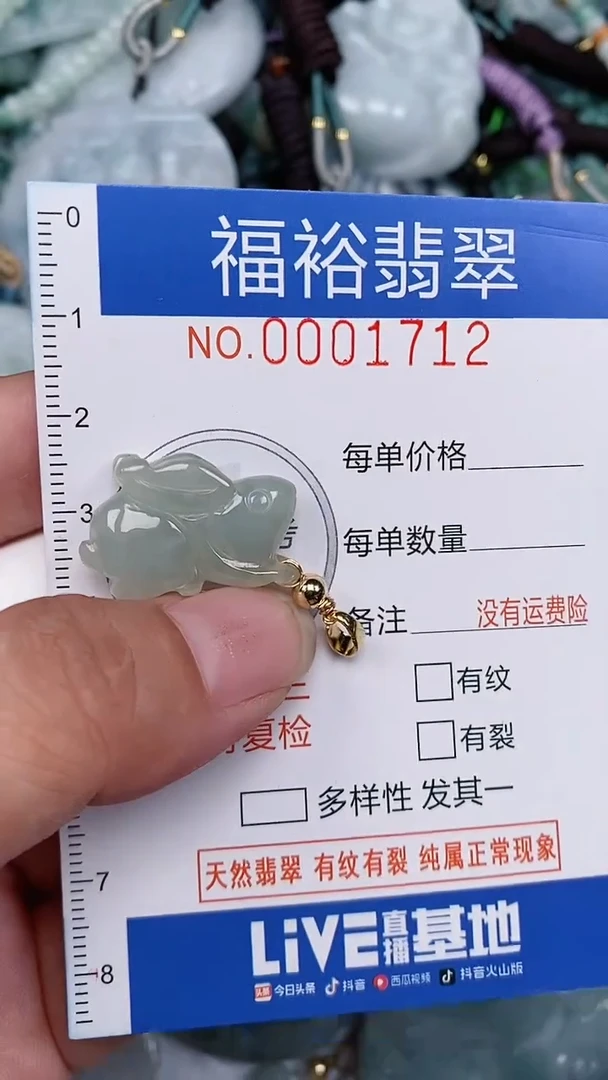 翡翠未镶嵌颈饰...0001712