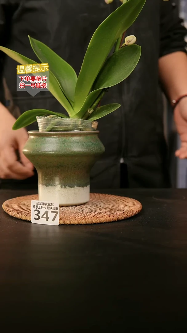 瓷片347内口径约9  外高约11-12