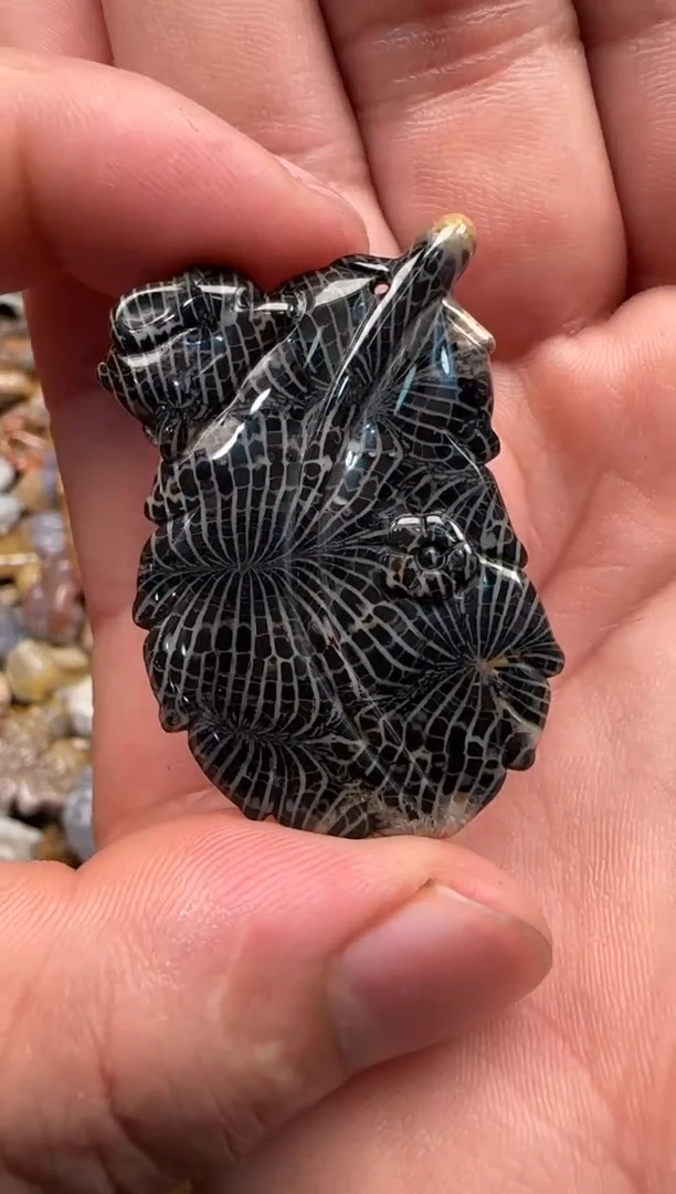 【闪购商品】硅化珊瑚（珊瑚玉）颈饰未镶嵌353