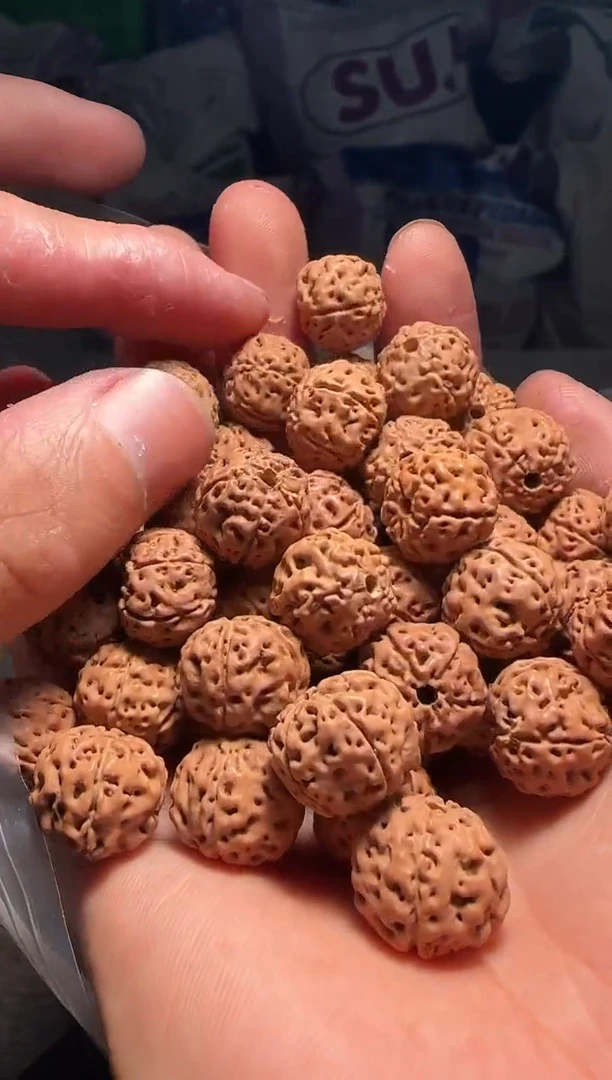手串金刚菩提非全品平细散籽13-14mm一份一百颗