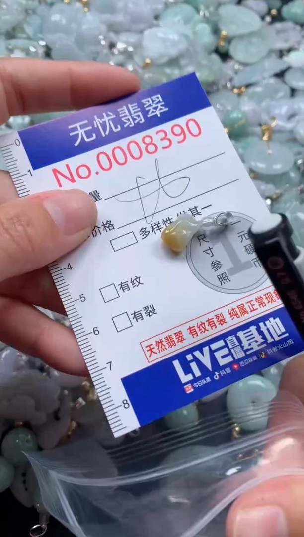 颈饰未镶嵌翡翠8390