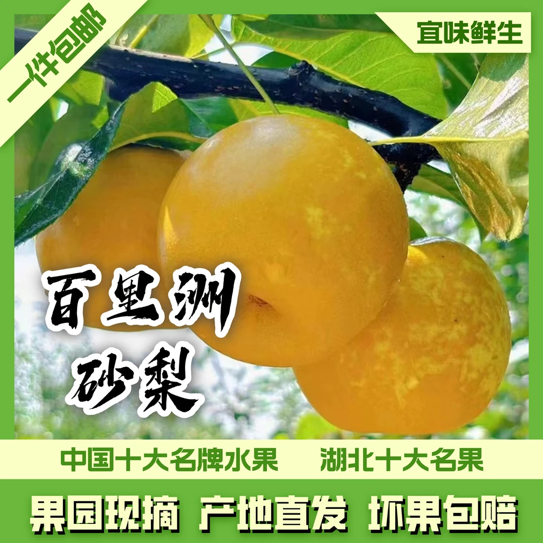 【新华书店专属】百里洲砂梨精品翠冠梨产地直发现摘现发坏果包赔