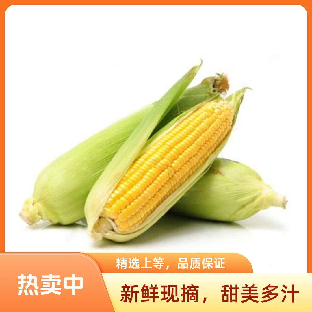 【A74】鲜水果玉米（3kg5-7个）水果玉米新疆维吾尔自治区
