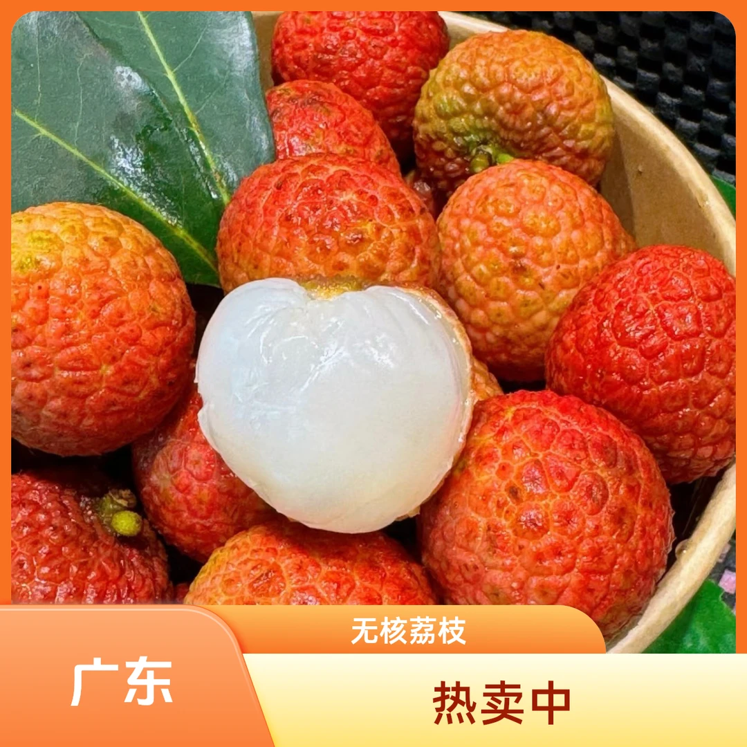 【次日达-李想】广东薄皮无核荔枝 新鲜水果 头茬现摘当季水果荔枝同城送