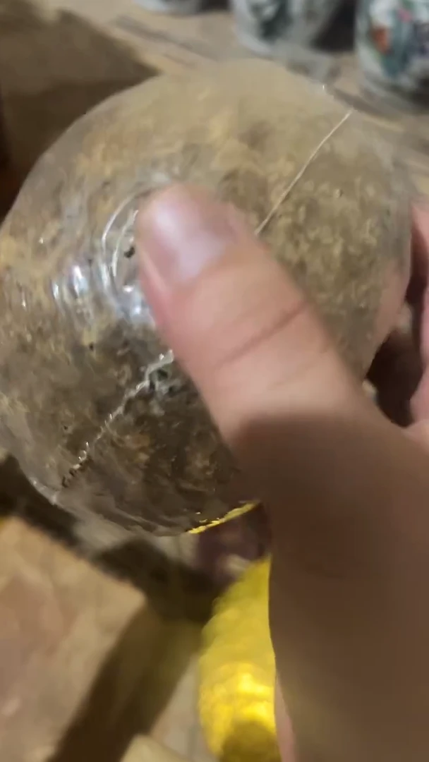 紫砂紫砂紫砂紫砂紫砂紫砂