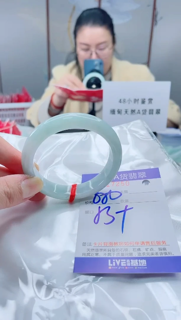 未镶嵌手镯翡翠我3
