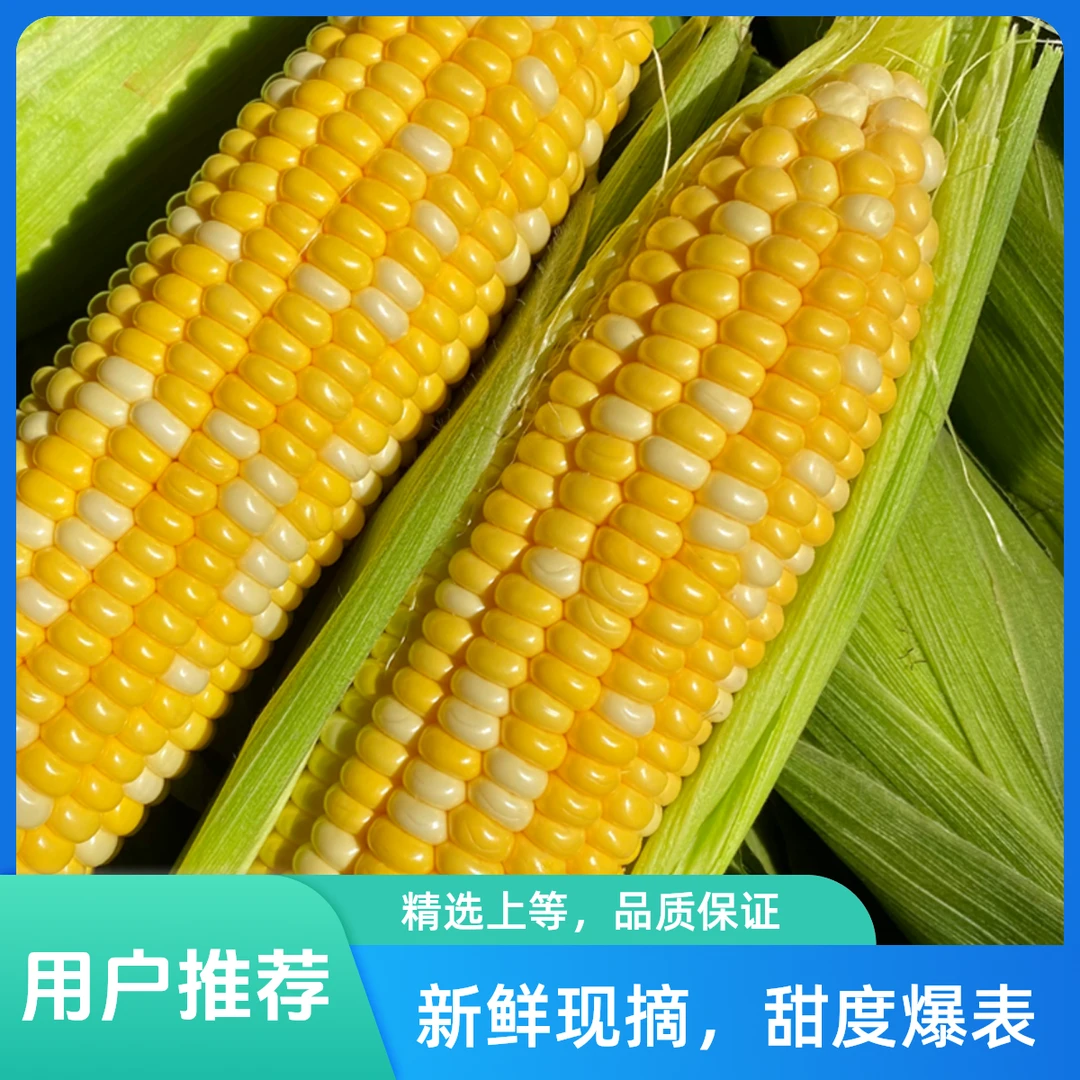 云南水果玉米新鲜