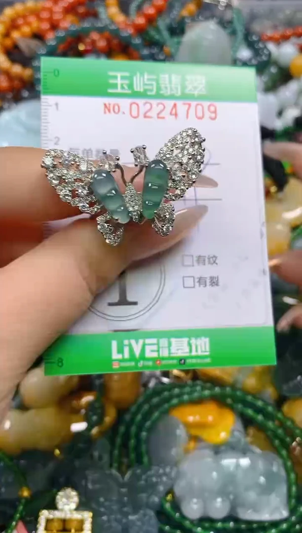 颈饰未镶嵌翡翠闪购0224709