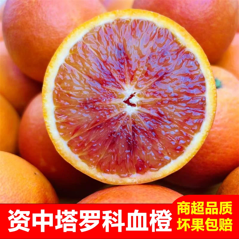 【老树果】资中塔罗科血橙现摘新鲜当季孕妇水果玫瑰四川血橙子