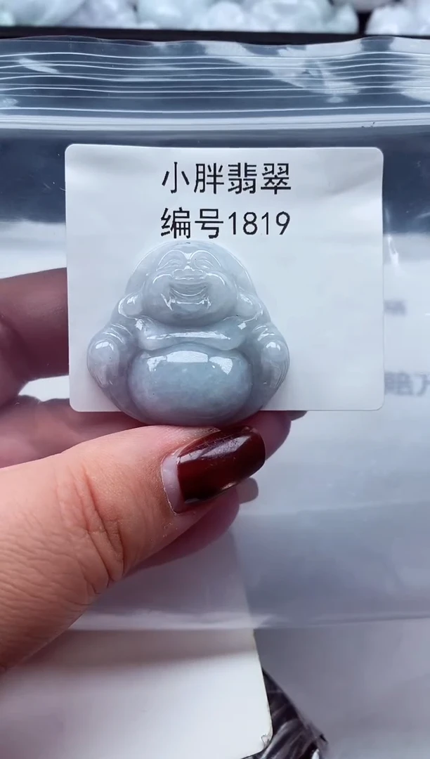 颈饰未镶嵌翡翠缅甸天然A货翡翠1819