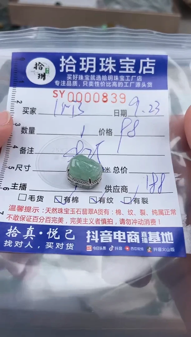 颈饰银S925镶嵌翡翠?****鱼翡翠挂件貔貅839