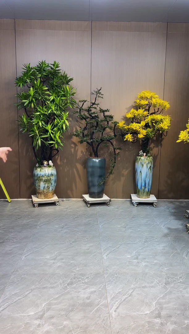 无花朵曾*阳紫檀+洒金榕+百合竹
