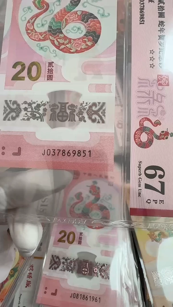 【闪购商品】塑料首日标67分 037869851