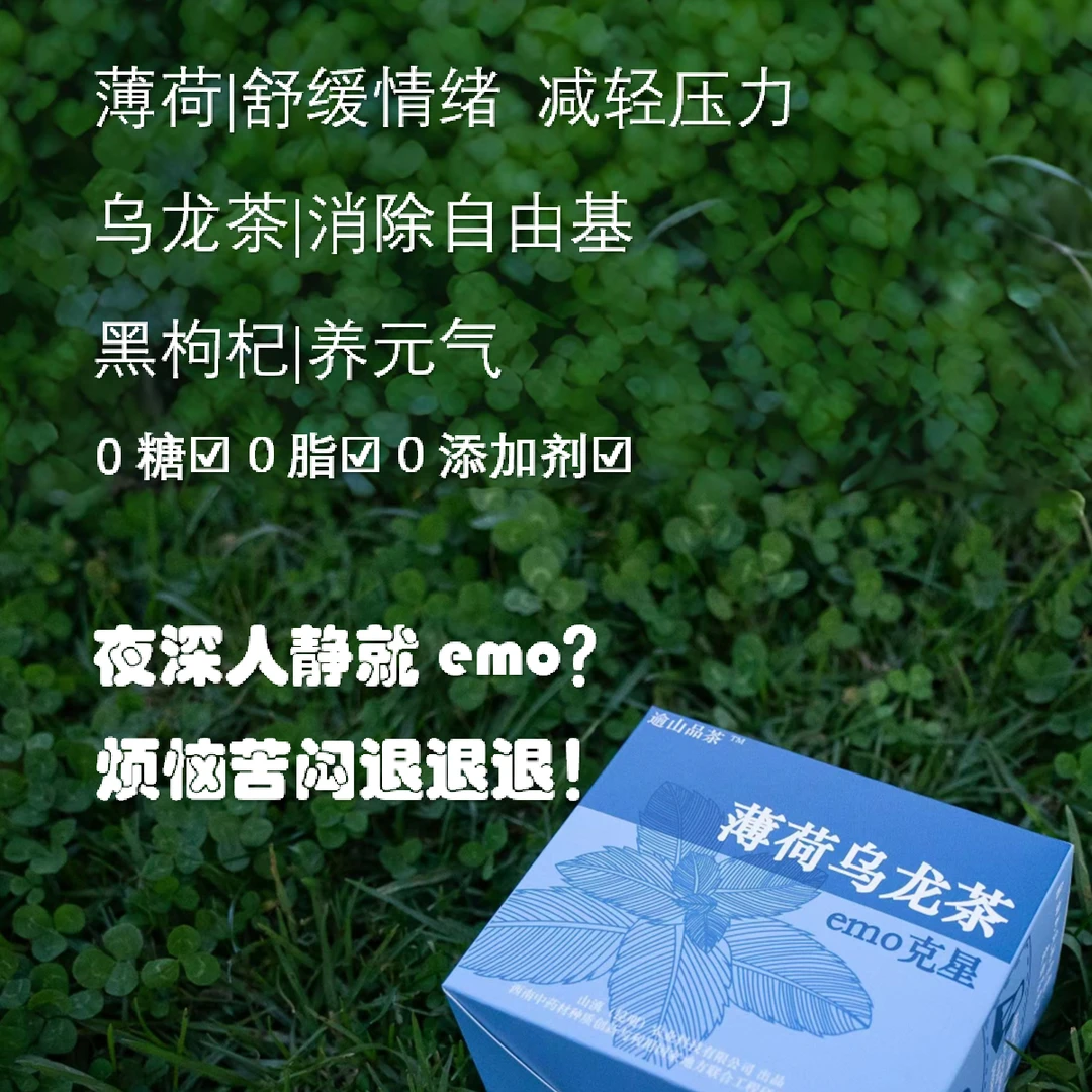 缤纷冷泡茶产品系列-薄荷乌龙茶