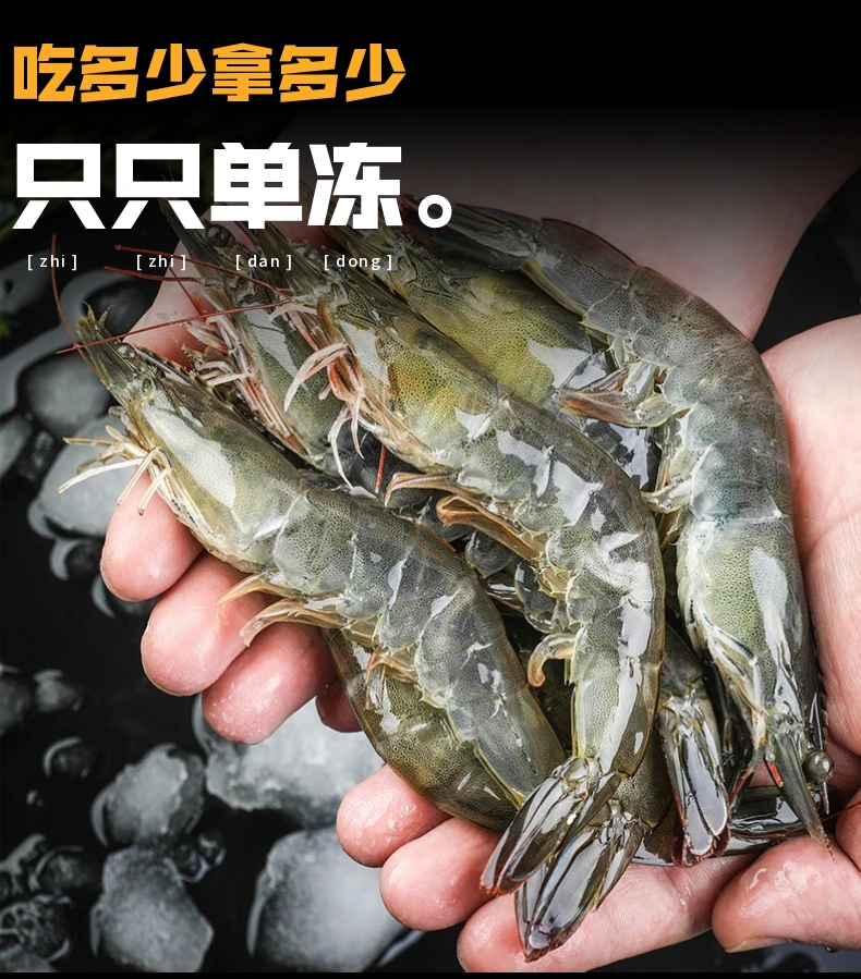 大号20/30海洋大虾12-15只/斤 13-16cm/只 速冻锁鲜冷冻发货四斤