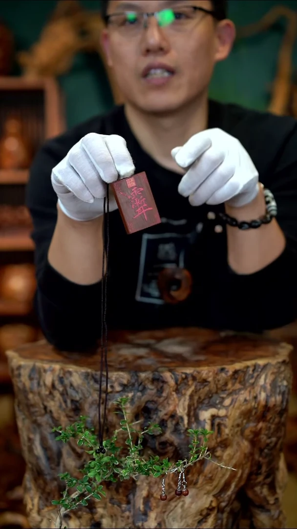 枣木雷击枣木雨渐耳