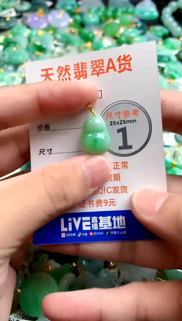 颈饰未镶嵌翡翠25101189