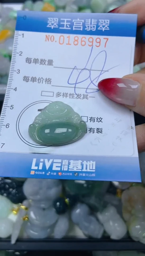 翡翠未镶嵌颈饰闪购0186997