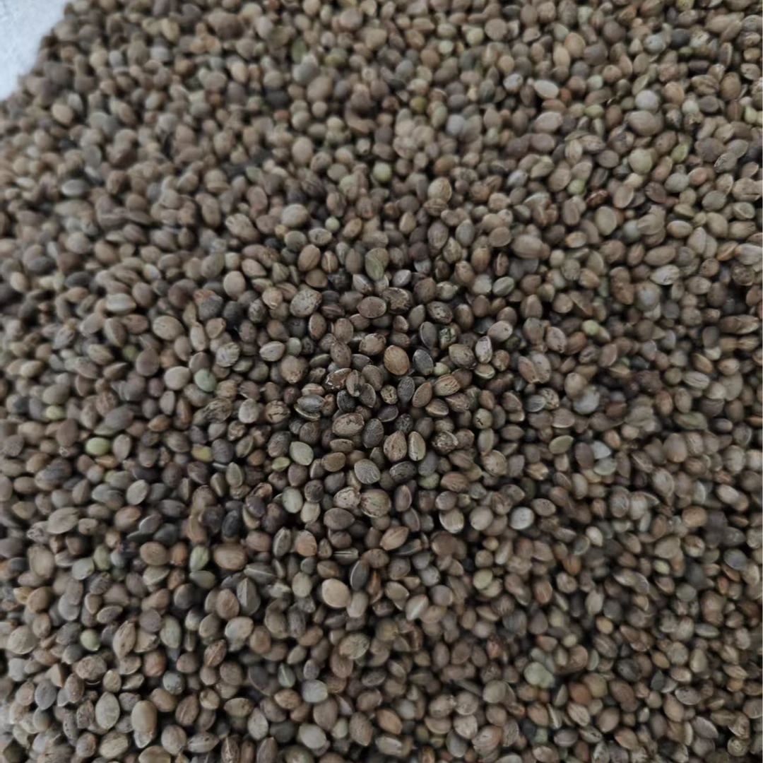 鹦鹉粮油料麻子火麻仁鸟粮牡丹玄凤小太阳