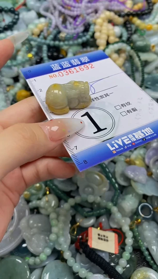 颈饰未镶嵌翡翠闪购0361692