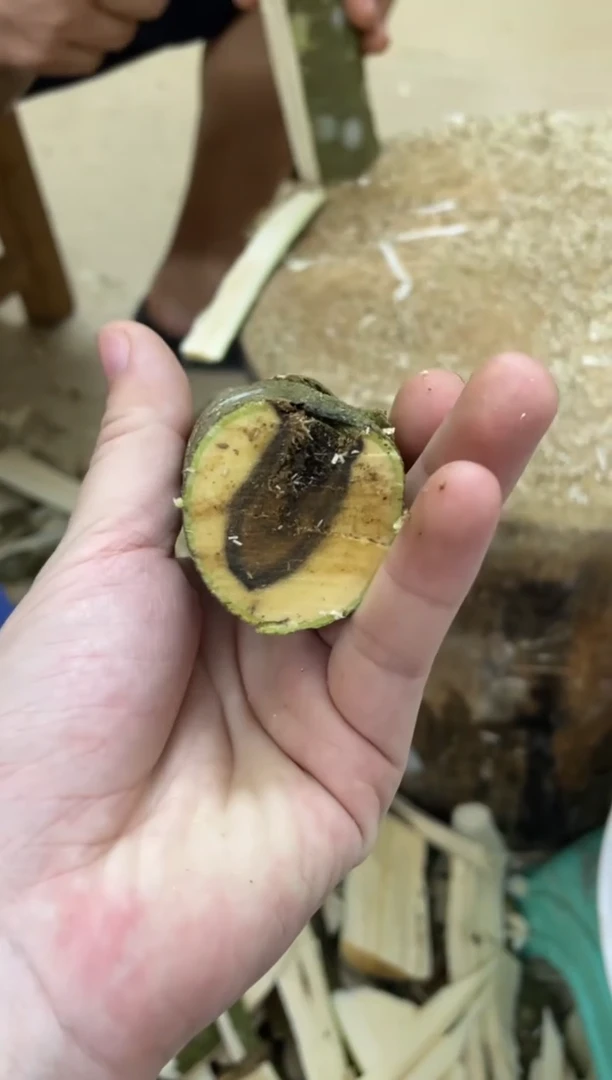 沉香沉香碎屑棋楠沉香 原料文创1