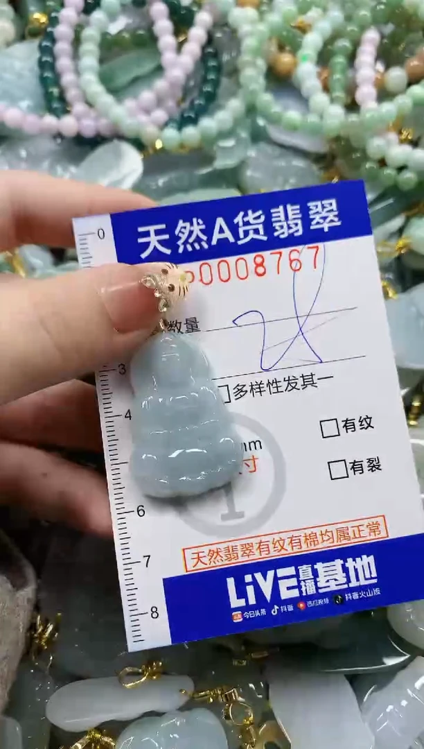 颈饰未镶嵌翡翠天然A货翡翠