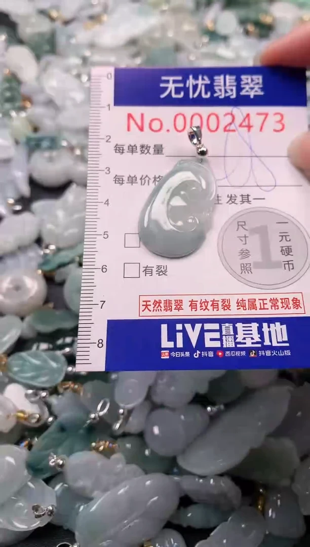 颈饰未镶嵌翡翠2473