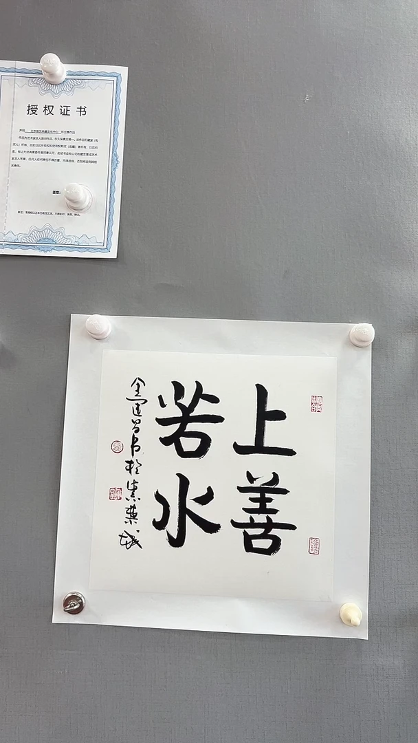 【闪购商品】书法雅艺典藏文化书法