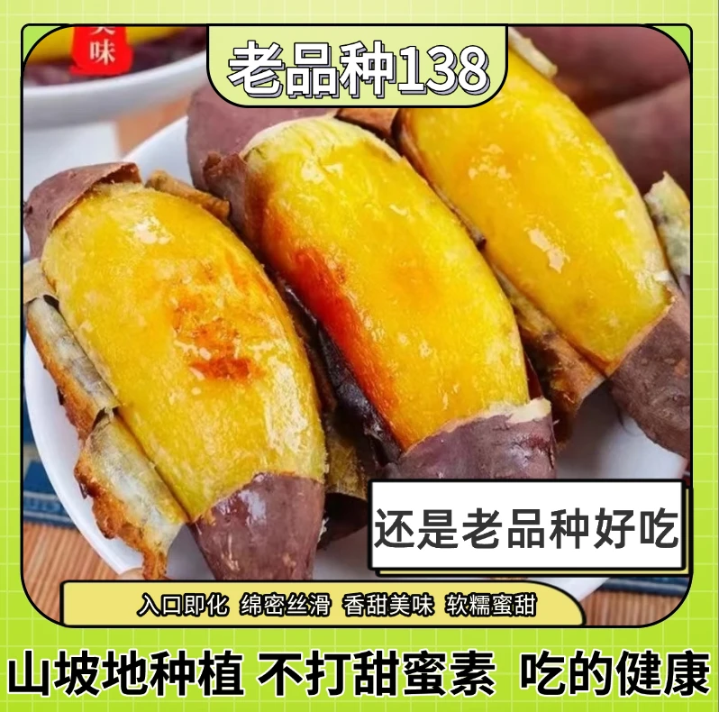 【书记专属】蜜甜香糯不打甜蜜素山坡地种植老品种138软糯香甜红薯