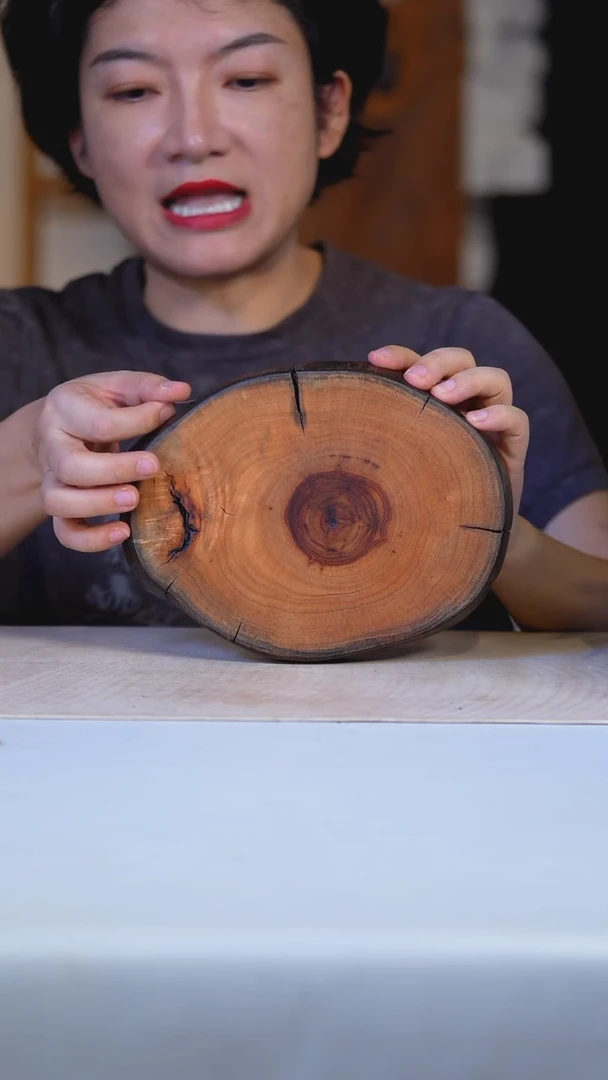 香樟木木切片7853