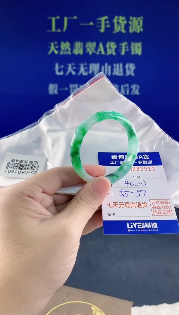 未镶嵌手镯翡翠12