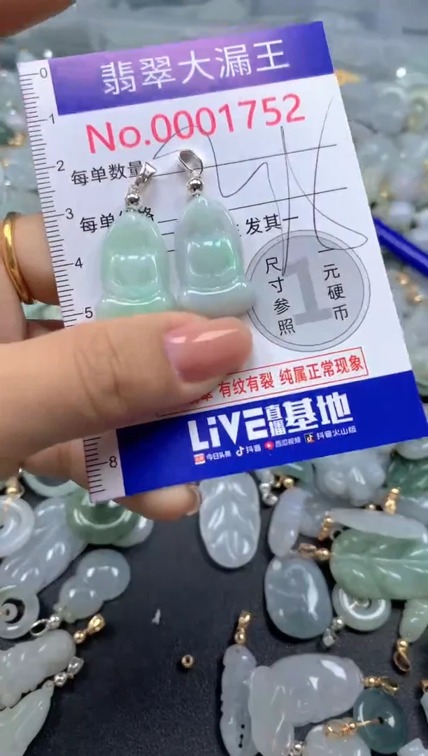 颈饰未镶嵌翡翠1752