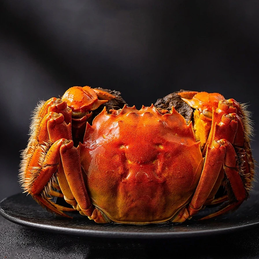 C3全公蟹活蟹兴化大闸蟹公蟹3.8-4.1两8只10只正宗兴化鲜活大闸蟹