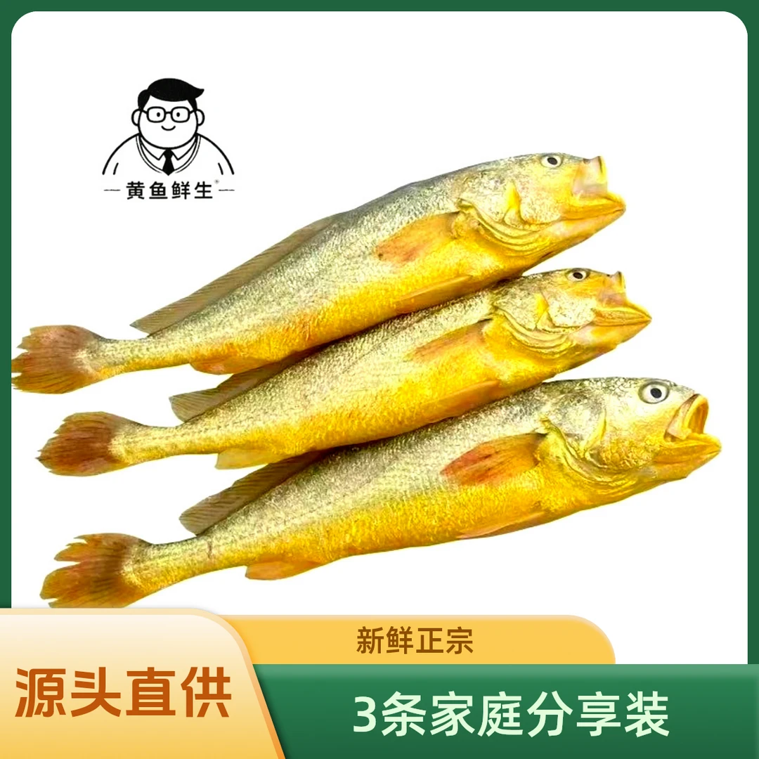 正宗宁德深海大黄鱼家庭宴会，当晚捕捞，次日顺丰发货。